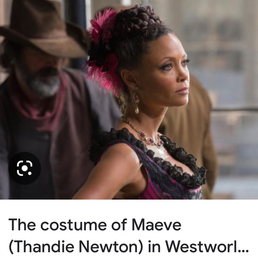 “Maeve” West World Inspired Costume